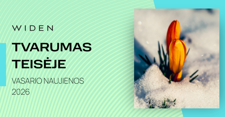 Tvarumas teisėje 2026 vasaris